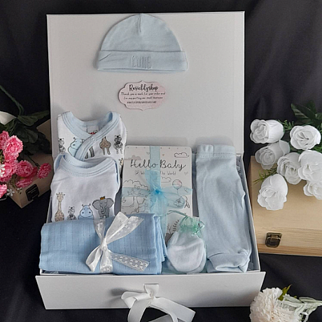 Beautiful Premature baby Boy Animal Hamper