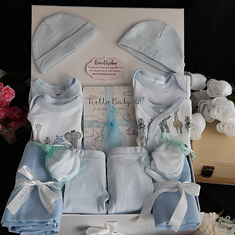 TWIN PREMATURE ANIMAL BABY HAMPER